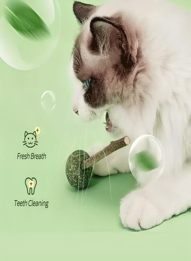 PET FUN Catnip Mint Ball Toy | Natural Catnip Lollipop Treats for Teeth Cleaning, Chewing, and Licking | Fresh Breath & Playful Fun for Cats & Kittens (Pack of 3) - Image 2